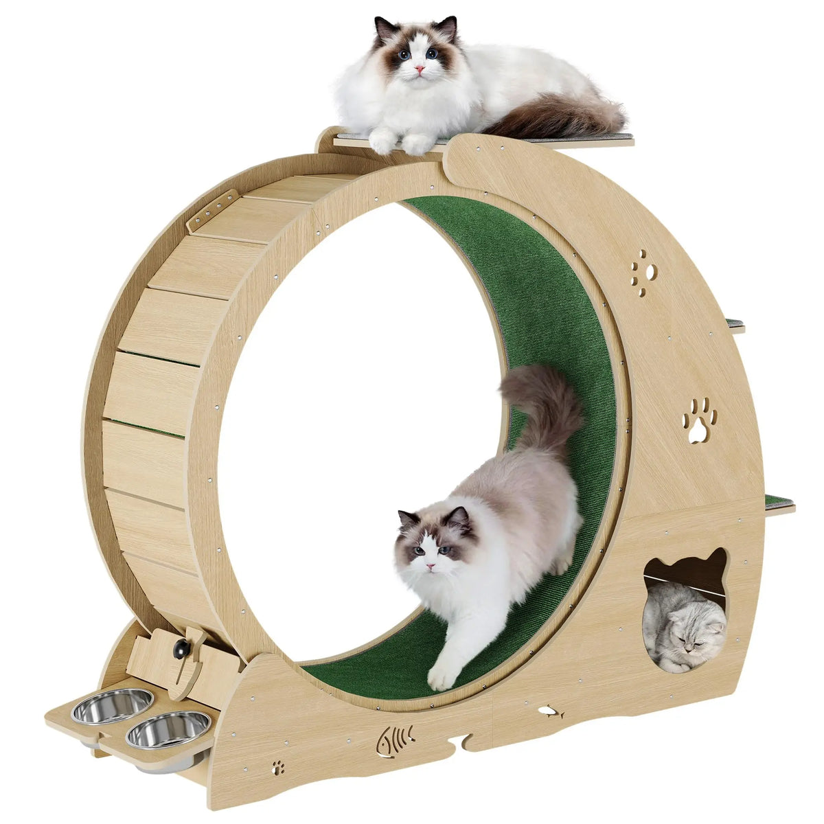 HiMiss Multifunctional Cat Exercise Wheel With Bowl Scratching Post