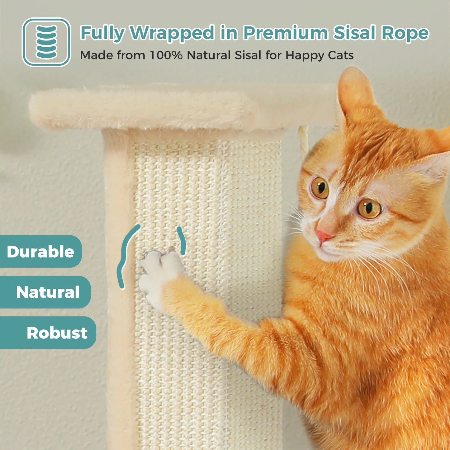 PAWZ Road Indoor Cat Scratch Post With Sisal Ball Toy