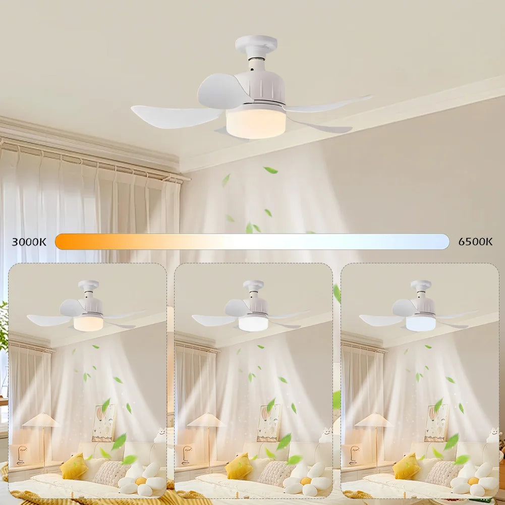 Indoor Dimmable Remote Control E27 Ceiling Fan Light Combo