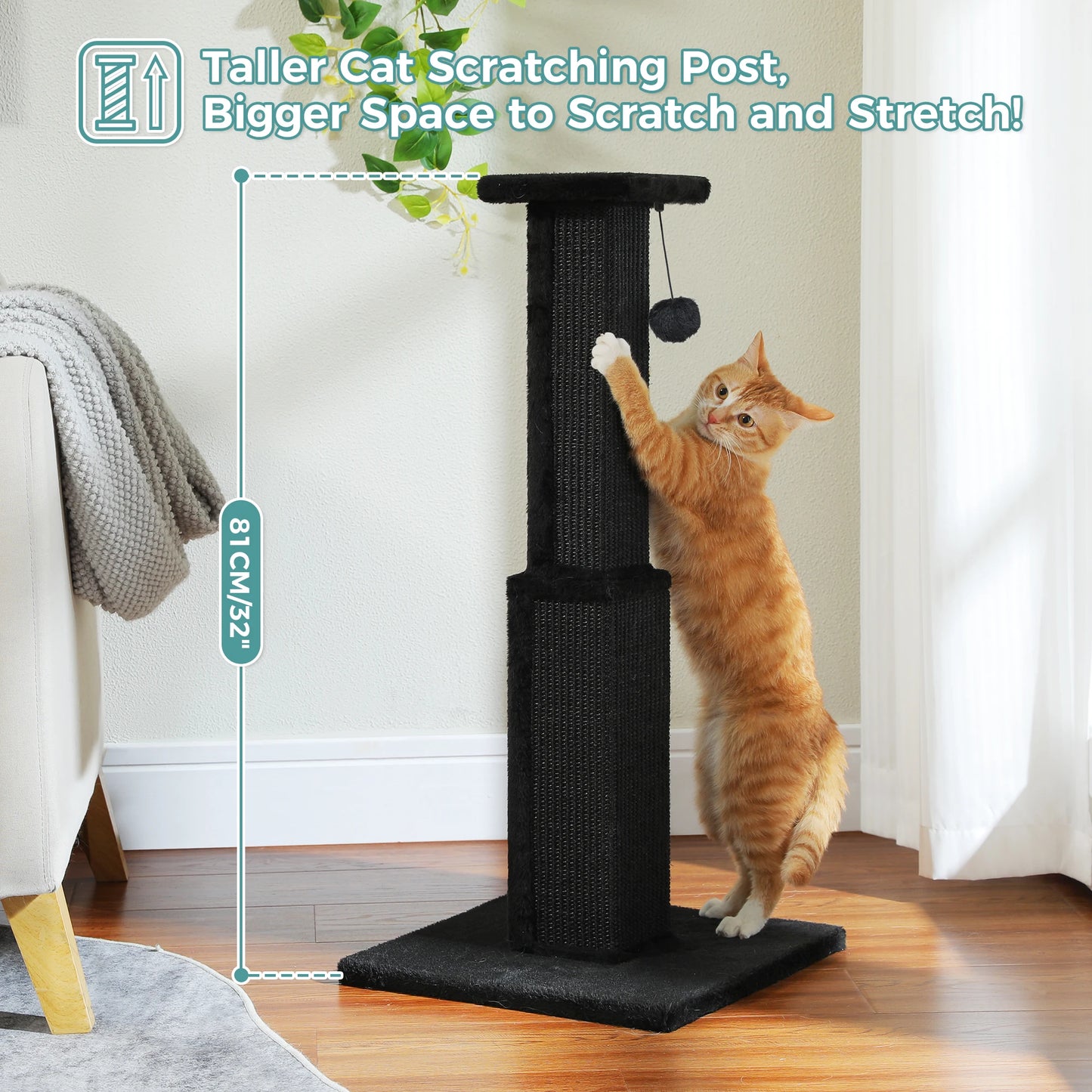 PAWZ Road Indoor Cat Scratch Post With Sisal Ball Toy