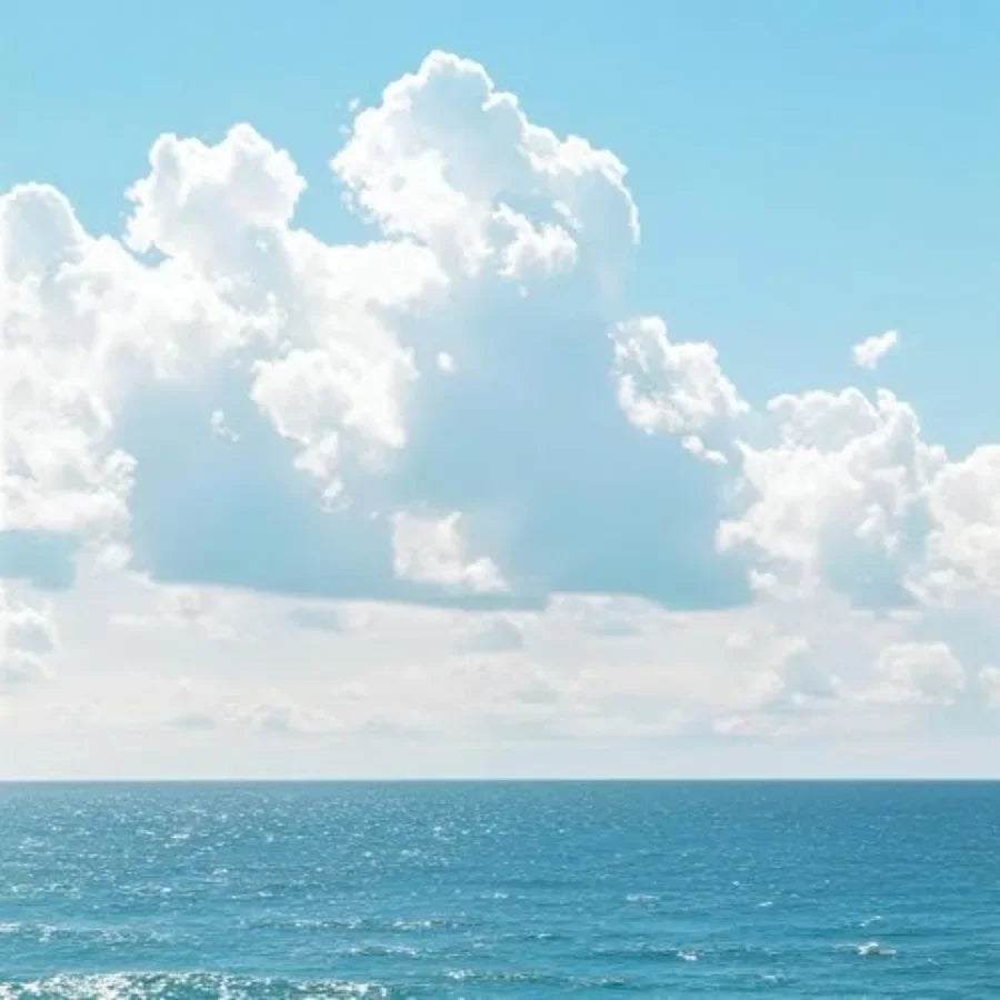 Beach Scene Wall Art Ocean Canvas Print Cotton Blend Vertical Seascape