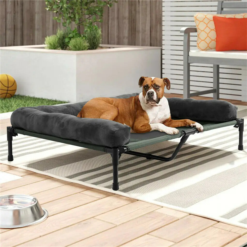 Bingopaw Elevated Dog Bed With Cooling Breathable Metal Support Frame