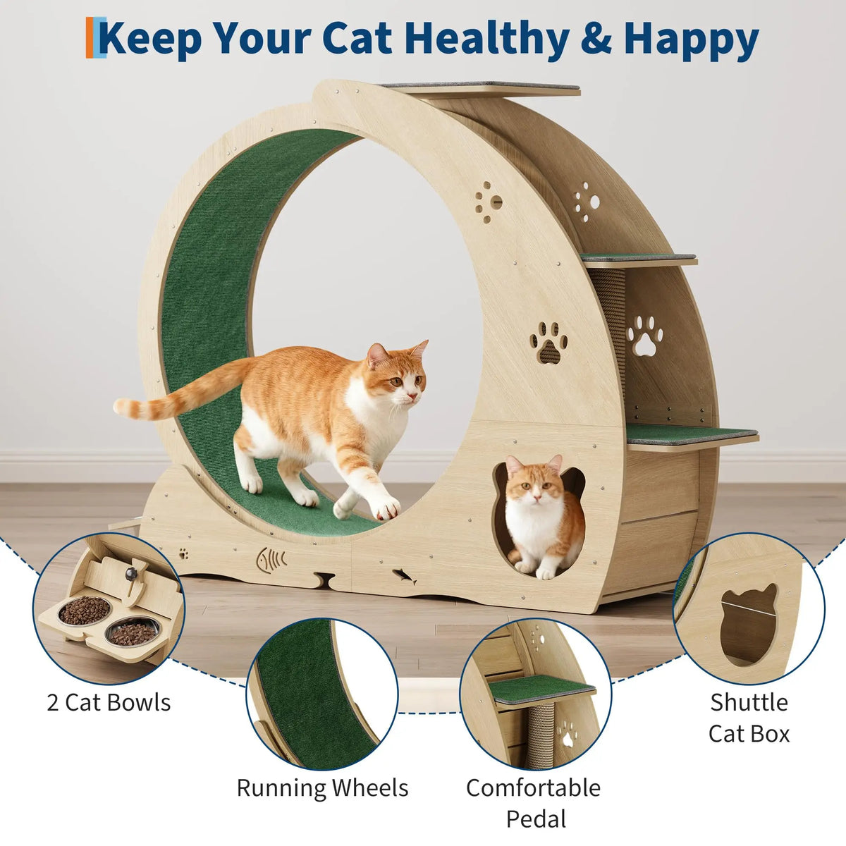 HiMiss Multifunctional Cat Exercise Wheel With Bowl Scratching Post