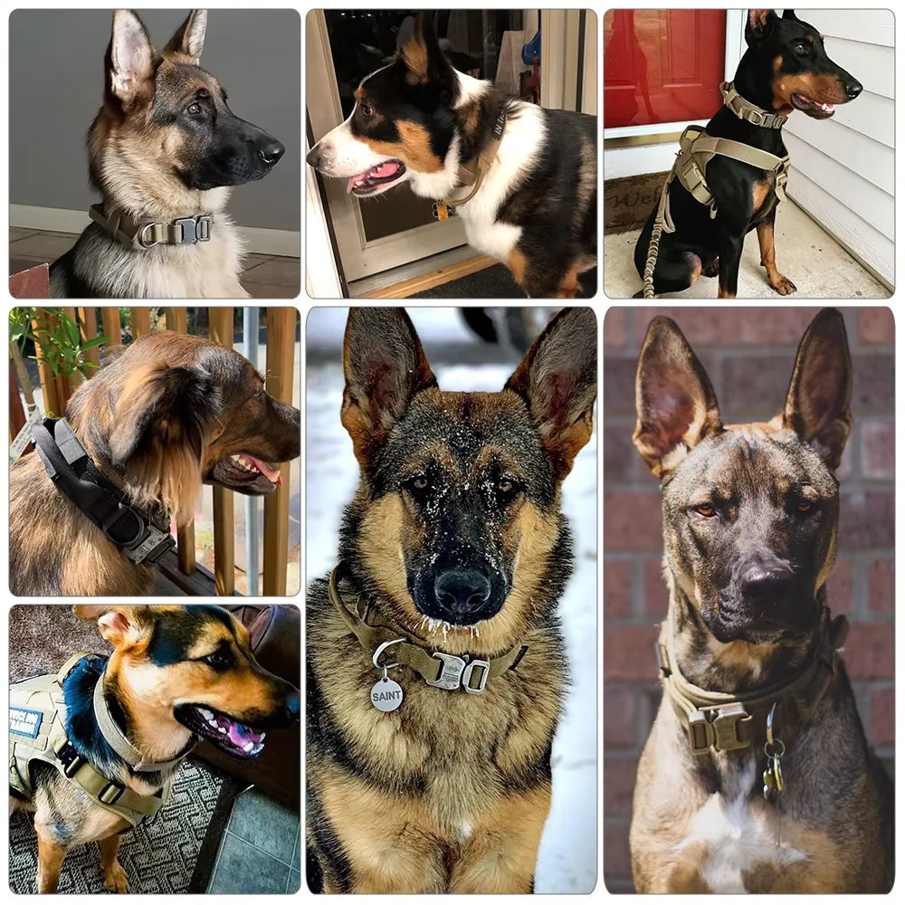 Padded Nylon Tactical Dog Collar Leash Set With Quick Release