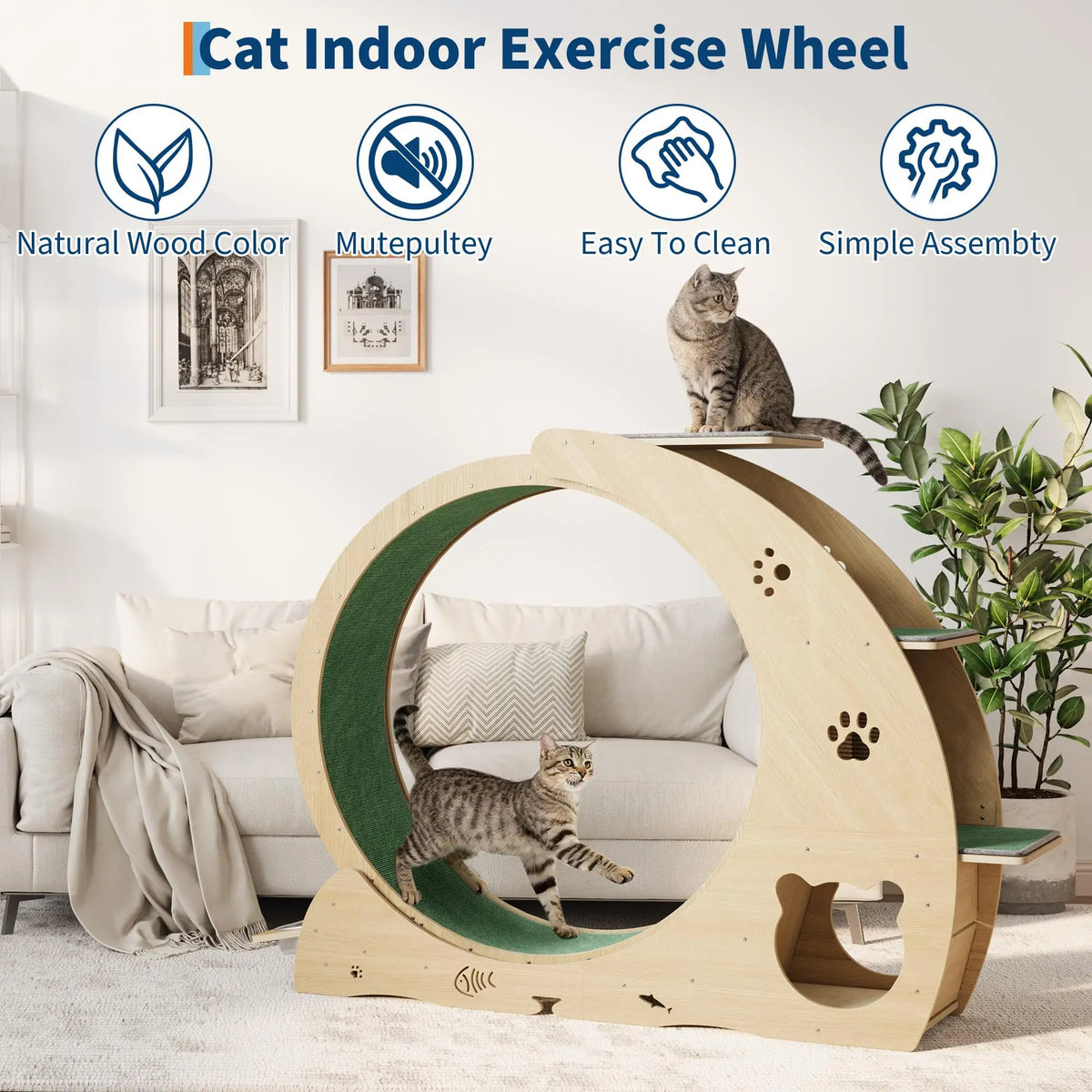 HiMiss Multifunctional Cat Exercise Wheel With Bowl Scratching Post