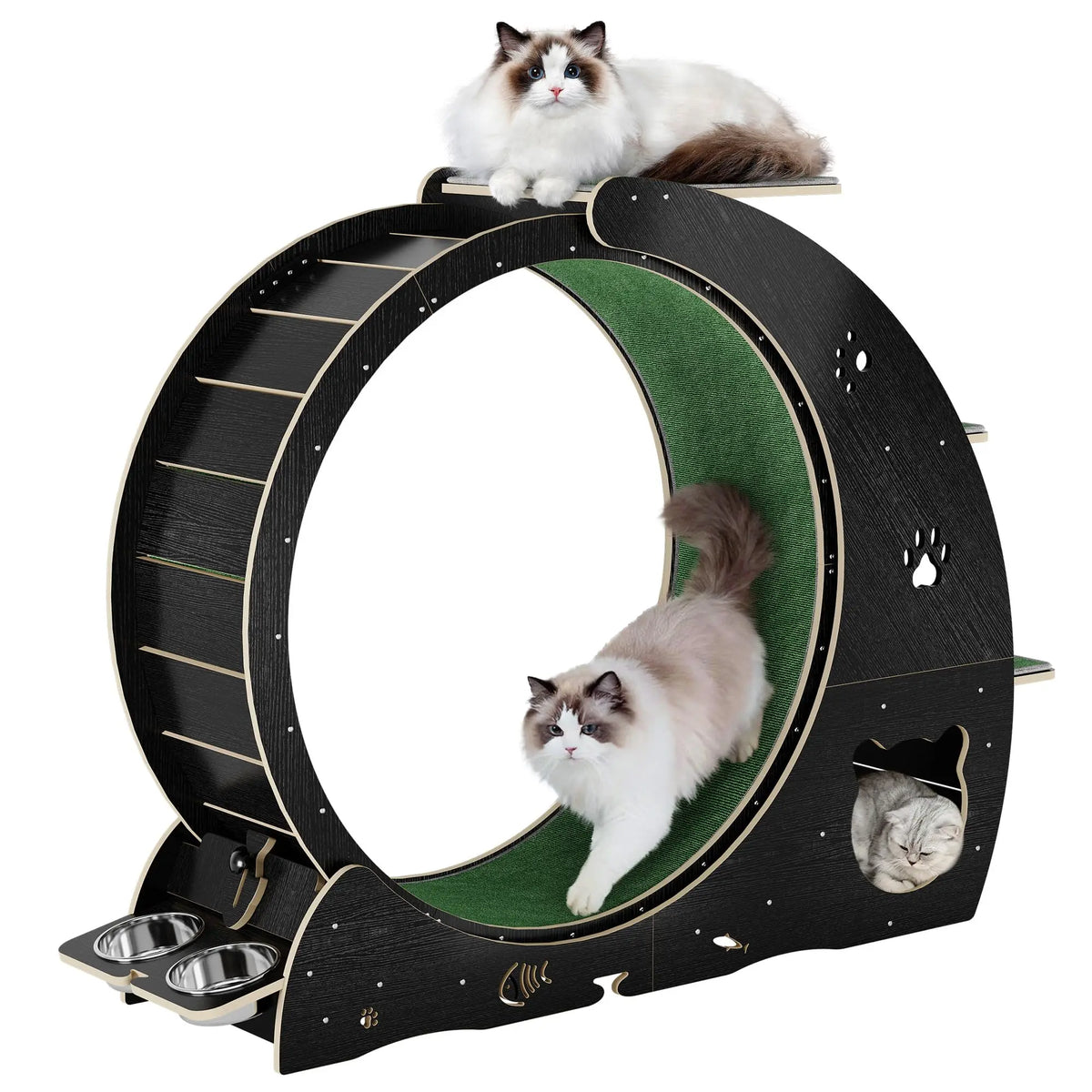 HiMiss Multifunctional Cat Exercise Wheel With Bowl Scratching Post
