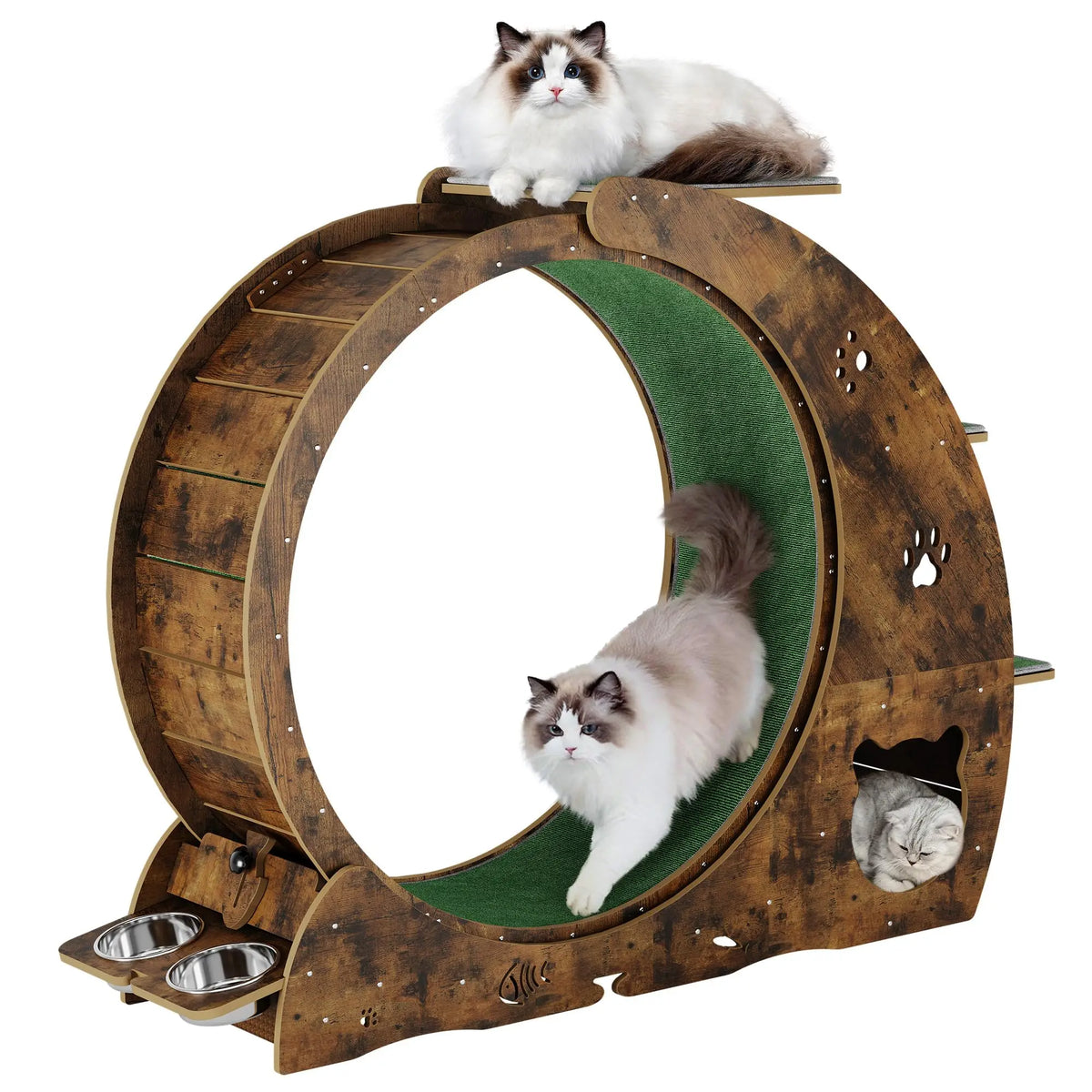 HiMiss Multifunctional Cat Exercise Wheel With Bowl Scratching Post