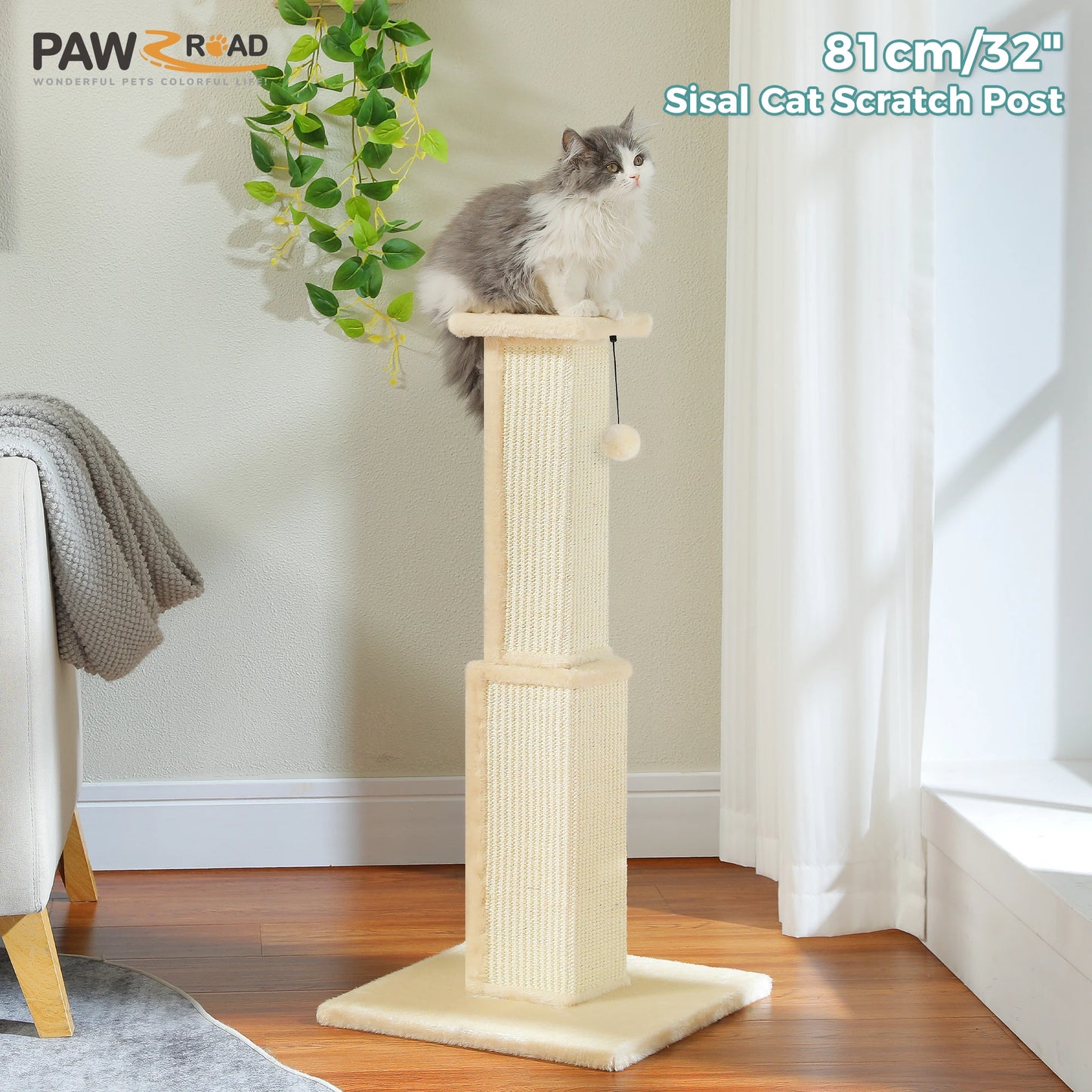 PAWZ Road Indoor Cat Scratch Post With Sisal Ball Toy
