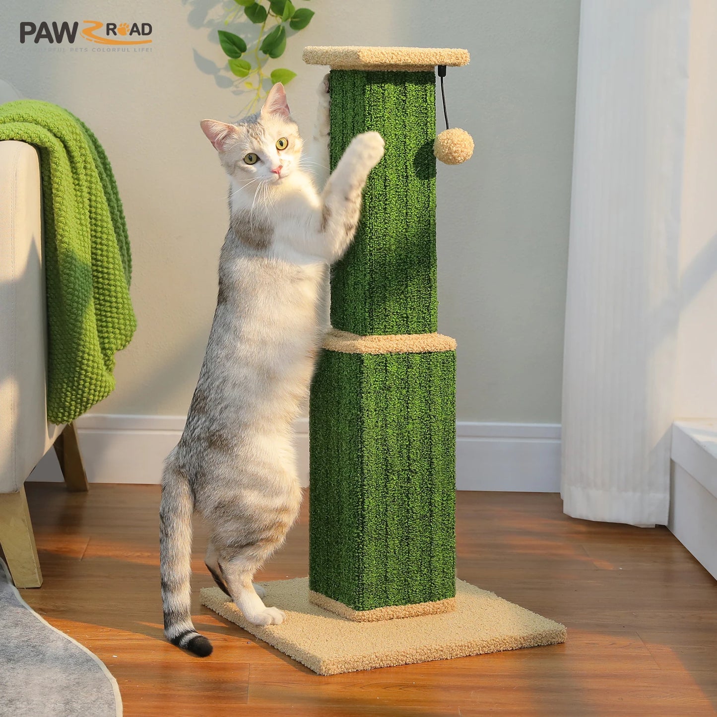 PAWZ Road Indoor Cat Scratch Post With Sisal Ball Toy